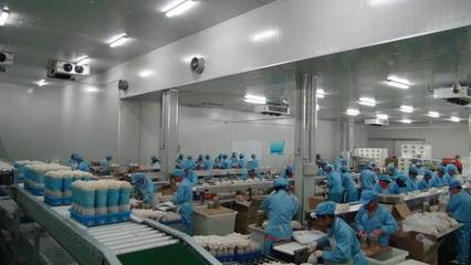 一場一品丨五四農(nóng)場九道菇