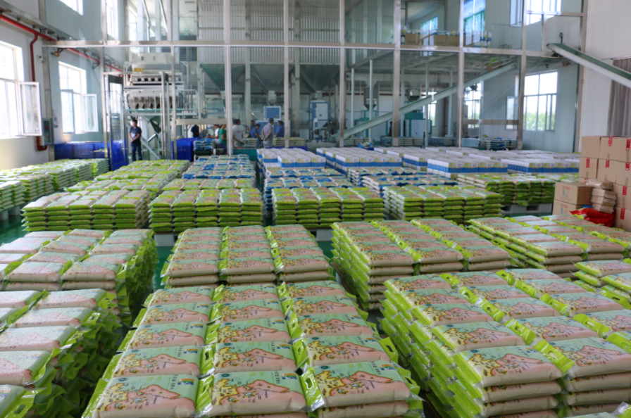 稻米循環(huán)產(chǎn)業(yè)助力鄉(xiāng)村振興