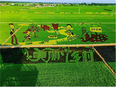 加速新型農業發展,華為云助力沈陽稻夢空間建設數字化產業園