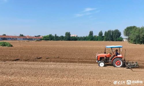 特色金融產品助力桓臺農業(yè)產業(yè)發(fā)展提質增效