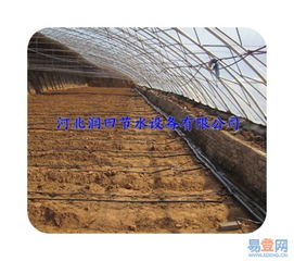 【滴水軟帶廠家|黑色壁厚0.3mm蔬菜滴灌輸水帶的圖片】-省內其它易登網