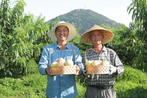 打造優(yōu)質(zhì)農(nóng)產(chǎn)品品牌 京東618助力農(nóng)民增收與消費(fèi)升級(jí)正循環(huán)