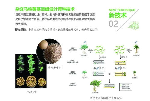 組圖丨31項農(nóng)業(yè)農(nóng)村重大新技術新產(chǎn)品新裝備發(fā)布