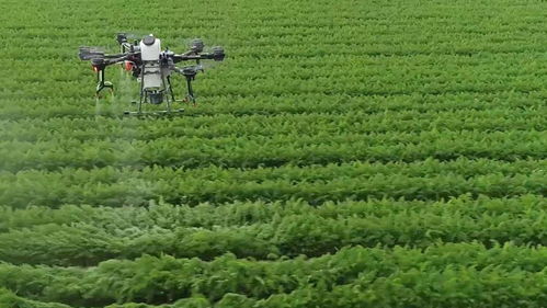 青島這場會(huì)議吹響了農(nóng)業(yè)農(nóng)村工作新局面的號(hào)角