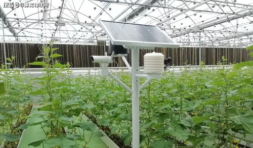 智慧農(nóng)業(yè)物聯(lián)網(wǎng)傳感器