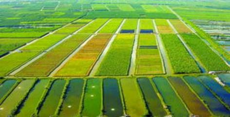 現(xiàn)代化農田建設的要求