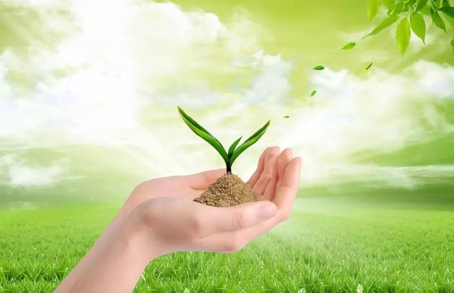 行業(yè)|&ldquo;不正經&rdquo;的綠色農業(yè)