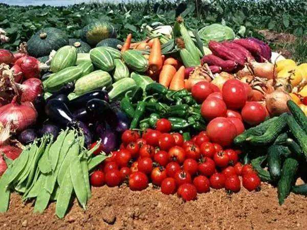 今年下半年,東營農業(yè)部門將加快培育農業(yè)&ldquo;新六產&rdquo;