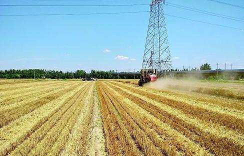 微山加快勾勒現(xiàn)代農業(yè)新圖景