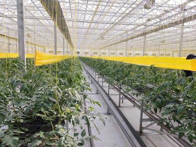 【觀察】緊盯&ldquo;十四五&rdquo;目標 濰坊國家農綜區(qū)模式再升級