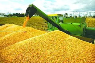 順應我省農業供給側結構性改革大潮 打造新型農產品經紀人