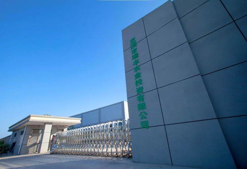 省級(jí)金獎(jiǎng) 開(kāi)發(fā)區(qū)這家公司的精品鮮菇真不錯(cuò)