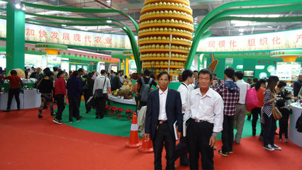 【批發(fā)蜜柚天然果園培植品質(zhì)保障 批發(fā)售賣(mài)13459609788】?jī)r(jià)格_廠家_圖片 -