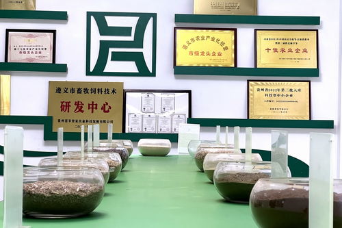 遵義習水 產業振興跑出致富加速度——農業篇