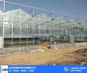 富峰農業 信陽文洛式溫室廠家的專業優勢與發展前景