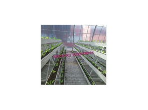 豐產劑2號產品信息及沈陽市農業大學工廠化農業技術服務中心介紹