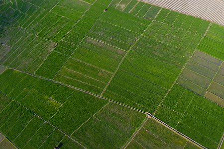 航拍桂林會(huì)仙濕地農(nóng)田 生態(tài)農(nóng)業(yè)的詩意畫卷