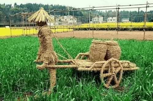 河北省農(nóng)業(yè)農(nóng)村廳推出11條休閑農(nóng)業(yè)精品線路，助力農(nóng)業(yè)旅游發(fā)展