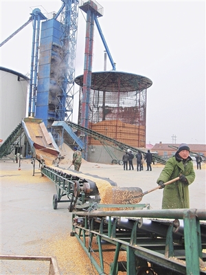 小型稻谷烘干塔廠家與價(jià)格概覽——神華機(jī)械廠家在農(nóng)業(yè)機(jī)械領(lǐng)域的優(yōu)勢