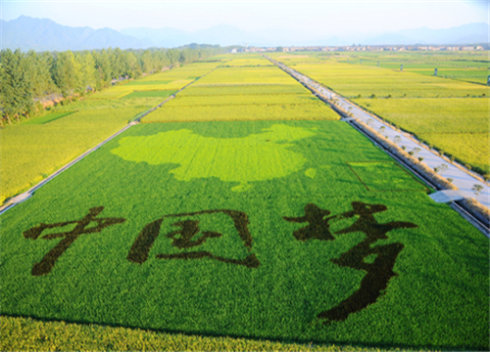 農(nóng)業(yè)部印發(fā)《關(guān)于大力發(fā)展休閑農(nóng)業(yè)的指導(dǎo)意見(jiàn)》 推動(dòng)農(nóng)業(yè)轉(zhuǎn)型升級(jí)與鄉(xiāng)村振興新引擎